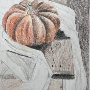ONLINE CLASS: Drawing for the Fun of It With Susan Jensen: Thursdays (Late Fall)