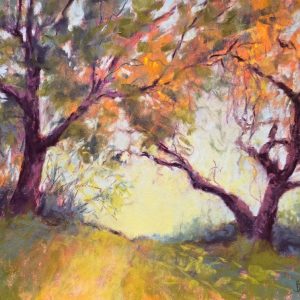 Hybrid Online / In Person Creative Color with Pastels: Beginner – Intermediate with Betsy Payne Cook: Wednesdays (Fall)